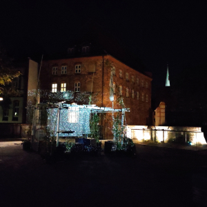 IMG_20241004_204818