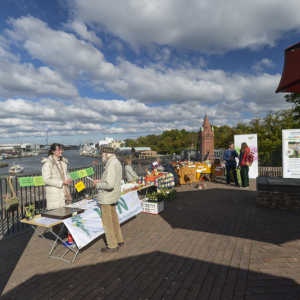 ST10.06-Erntedank-Markt-CHR_4110a