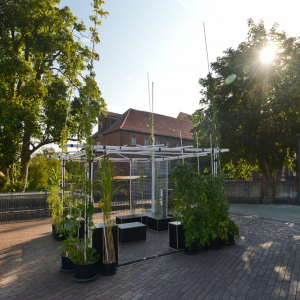 Sammelstelle01-CHR_1204a